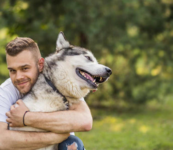 Cuidado de Perros en Casa: Consejos Esenciales para Mantener a tu Mascota Feliz y Saludable